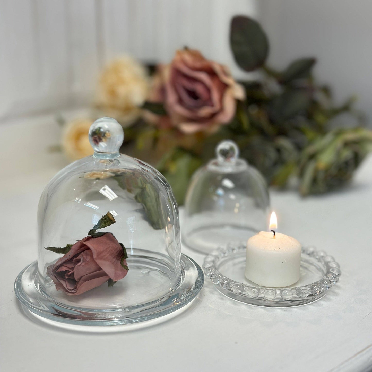 Glass Dome Display Cloche with Base