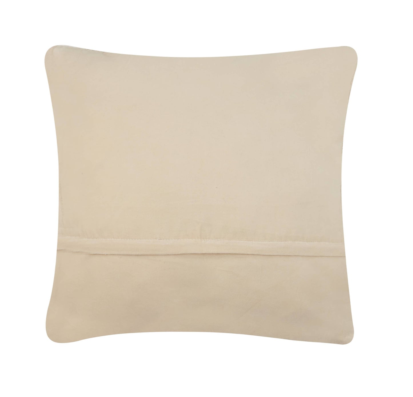 Bluebonnet Hook Pillow