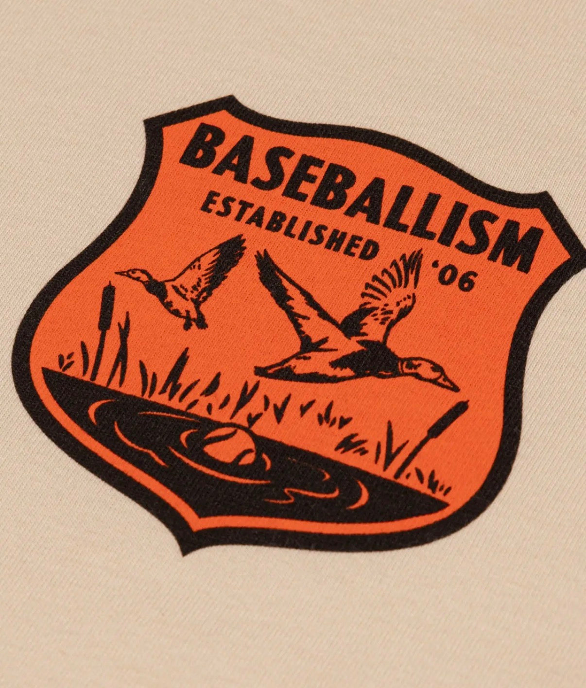 PREORDER "ducks on the pond" Youth T-Shirt