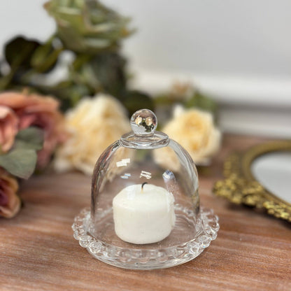 Glass Dome Display Cloche with Base