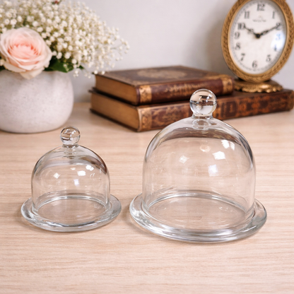 Glass Dome Display Cloche with Base