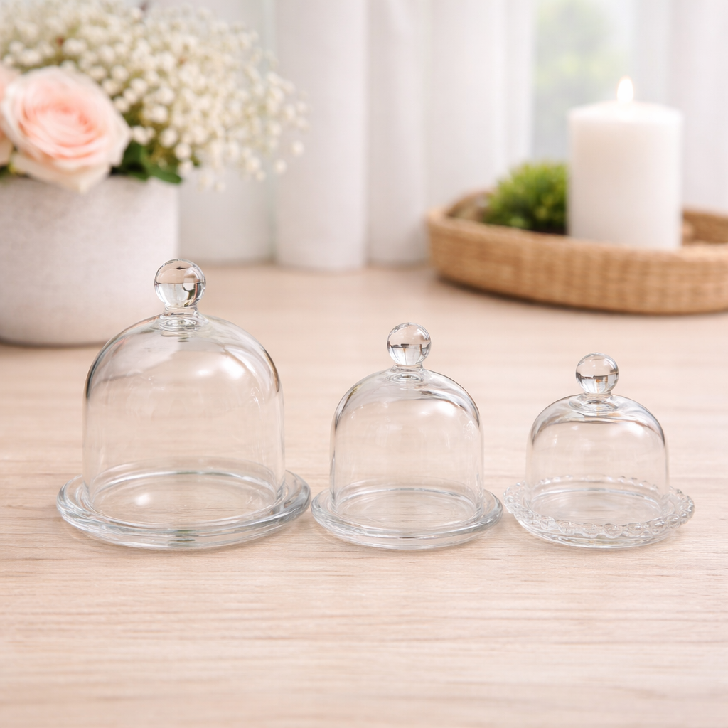 Glass Dome Display Cloche with Base